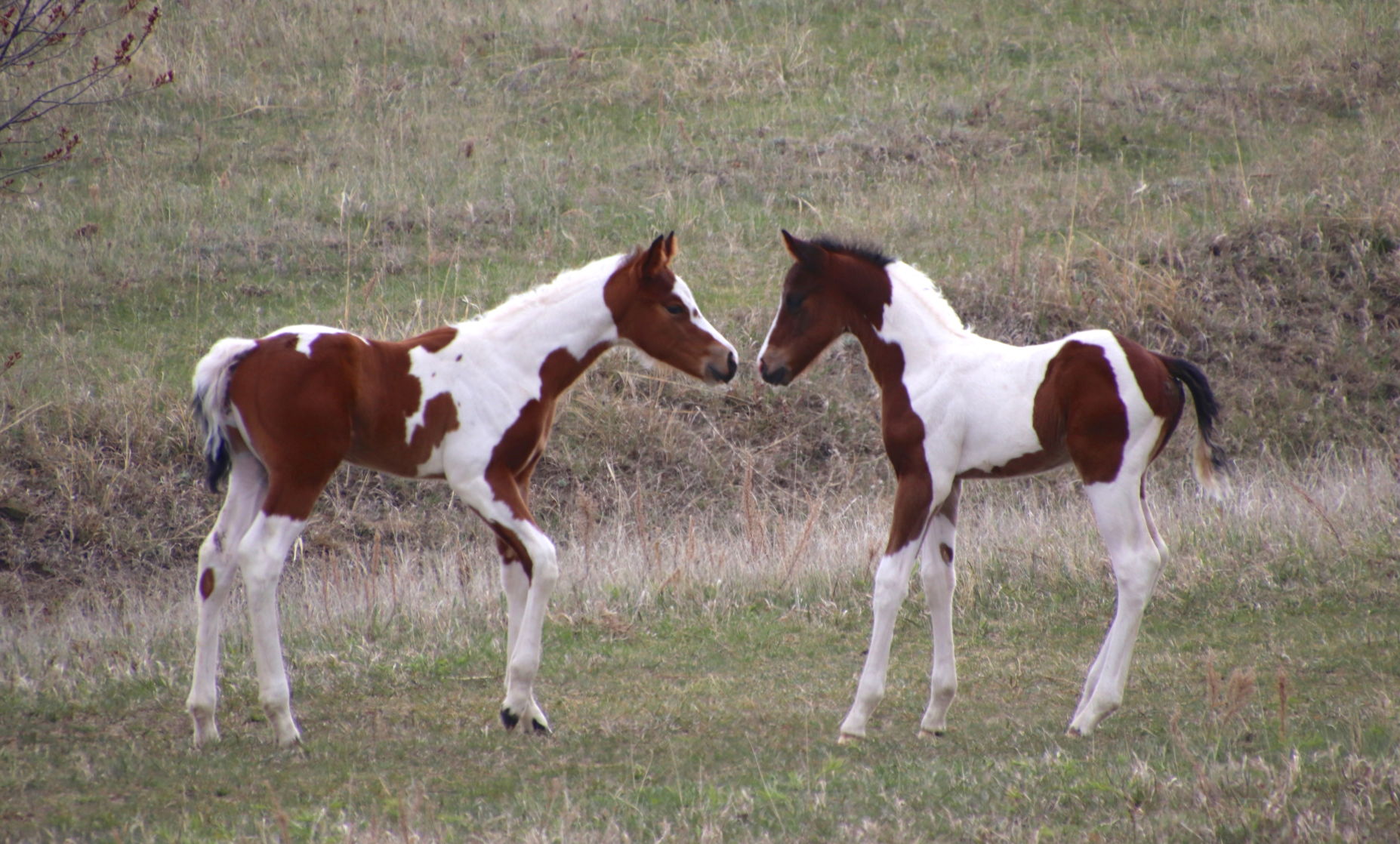 A New Friendship